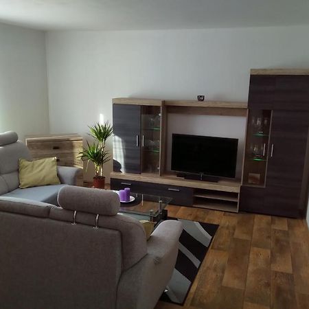 Apartamento Apartmán Pod Říčkami Rokytnice v Orlických Horách Exterior foto