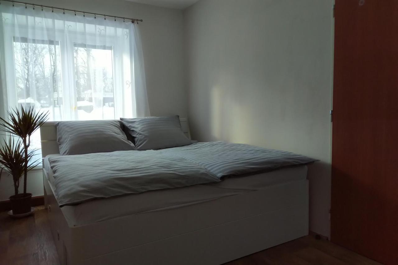 Apartamento Apartmán Pod Říčkami Rokytnice v Orlických Horách Exterior foto