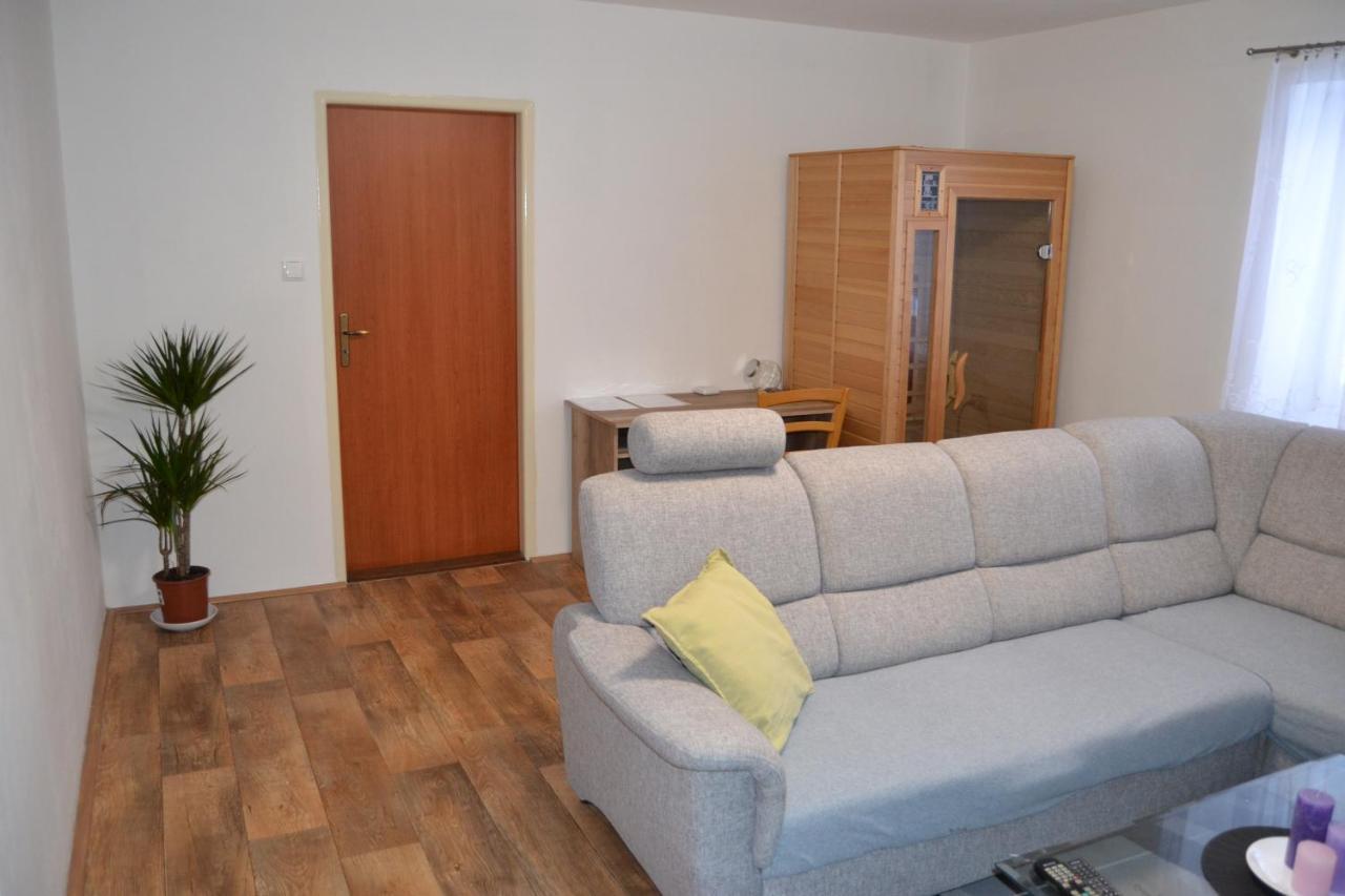 Apartamento Apartmán Pod Říčkami Rokytnice v Orlických Horách Exterior foto